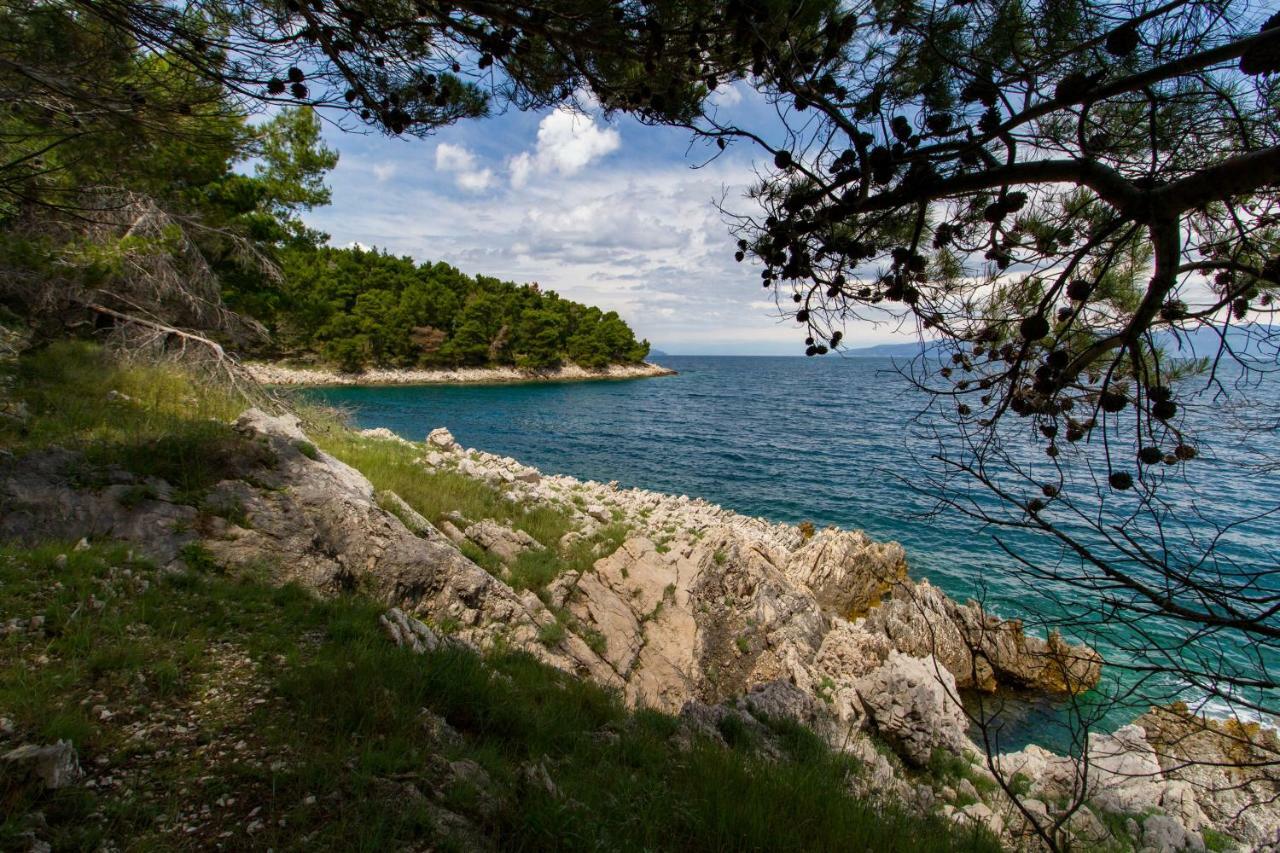 Apartments Ivana Ravni Εξωτερικό φωτογραφία