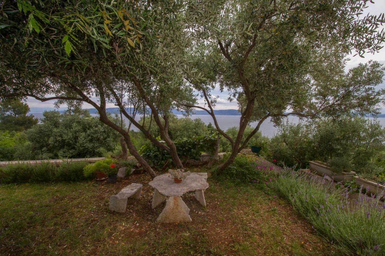 Apartments Ivana Ravni Εξωτερικό φωτογραφία